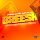 BREESH Single