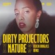 Shifting Shalestones Felicia Douglass Remix feat David Longstreth Single