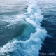 Crave Single