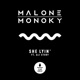 She Lyin feat Ali Story Single