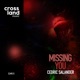 Missing You Single