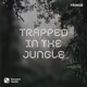 Trapped in the Jungle Single