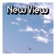 New View feat D4RK SISTER Single