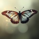 Butterfly Effect feat Antonia Katinka Single