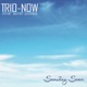 Someday Soon feat Steve Hunt Bruce Gertz Jack Diefendorf