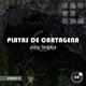 Playas De Cartagena Single