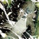 In My Element Filmoney Remix Single