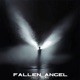 Fallen Angel yell Remix Single