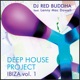 Deep House Project Ibiza Vol 1 feat Lenny Mac Dowell Christoph Spendel