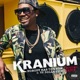 Nobody Has To Know feat Ty Dolla ign Gostan Remix Single