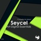 AH Digital Essentials 012 DJ Mix