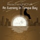 An Evening In Tampa Bay Single
