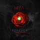 Forever My Love Single