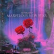 Marvelous New Year Single