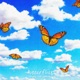 Butterflies Single