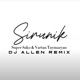 Sirunik DJ Allen Remix Single