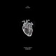 Rumors Single