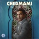 Cheb Mami