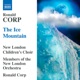 Corp The Ice Mountain