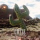 Cactus Musique feat H JeuneCrack EP