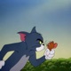 cat and mouse Single