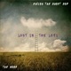 lost in the lofi feat The Moon Single