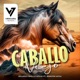 Caballo Viejo feat Jennifer Moya Single