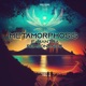 Metamorphosis EP