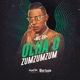 Olha o Zumzumzum Single