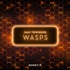Wasps Single