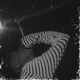 Dreams Nightmares feat Smash Hit Beatz Single