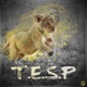 T E S P feat GABA Single