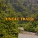 Jungle Track feat Ray Denz Single