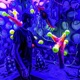 A Trip to Another Universe