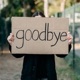 Goodbye Single