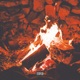 Out the Flames feat Coffey Single