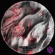 Live Targets Single