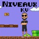 Niveaux Single