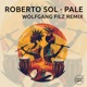 Pale Wolfgang Filz Remix Single