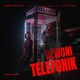 Dzwoni telefonik Single