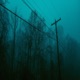Mystery Single