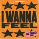 I Wanna Feel Paige Tomlinson Remix Single