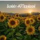 Sunny Afternoon Single