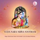 Veda Sara Shiva Stotram Single