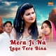 Mera Ji Na Lage Tere Bina Single