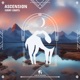 Ascension Single