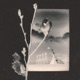 From Dust Single