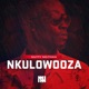 Nkulowooza Single