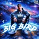 Big Bird Single