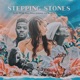 Stepping Stones feat Justin Chittams Lily Fangz Richard Vagner Single